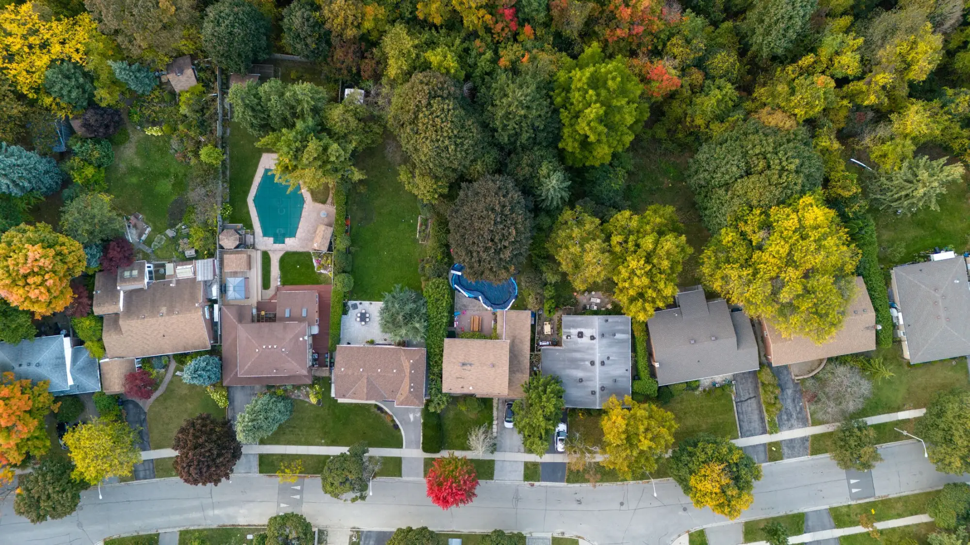 Aerial view of residential rooftops surrounded by autumn trees