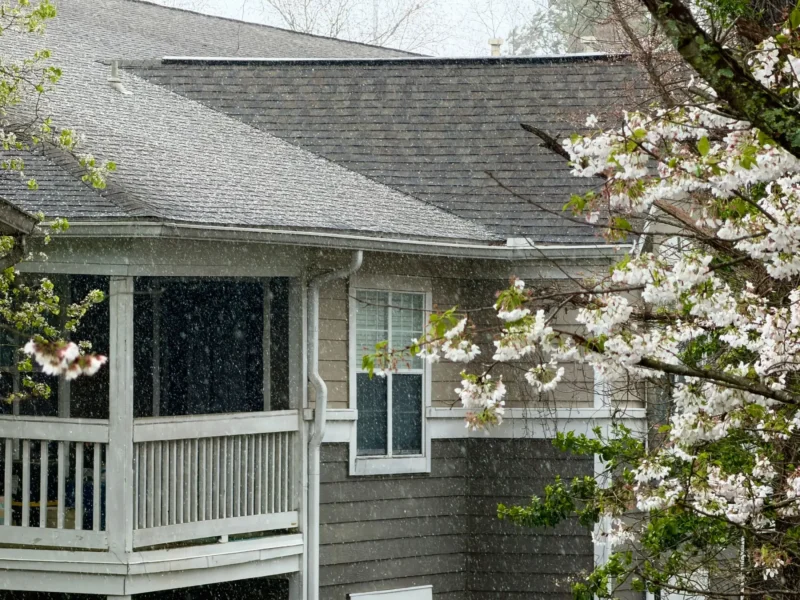 Two storey home with a shingle roof and flowering tree in spring