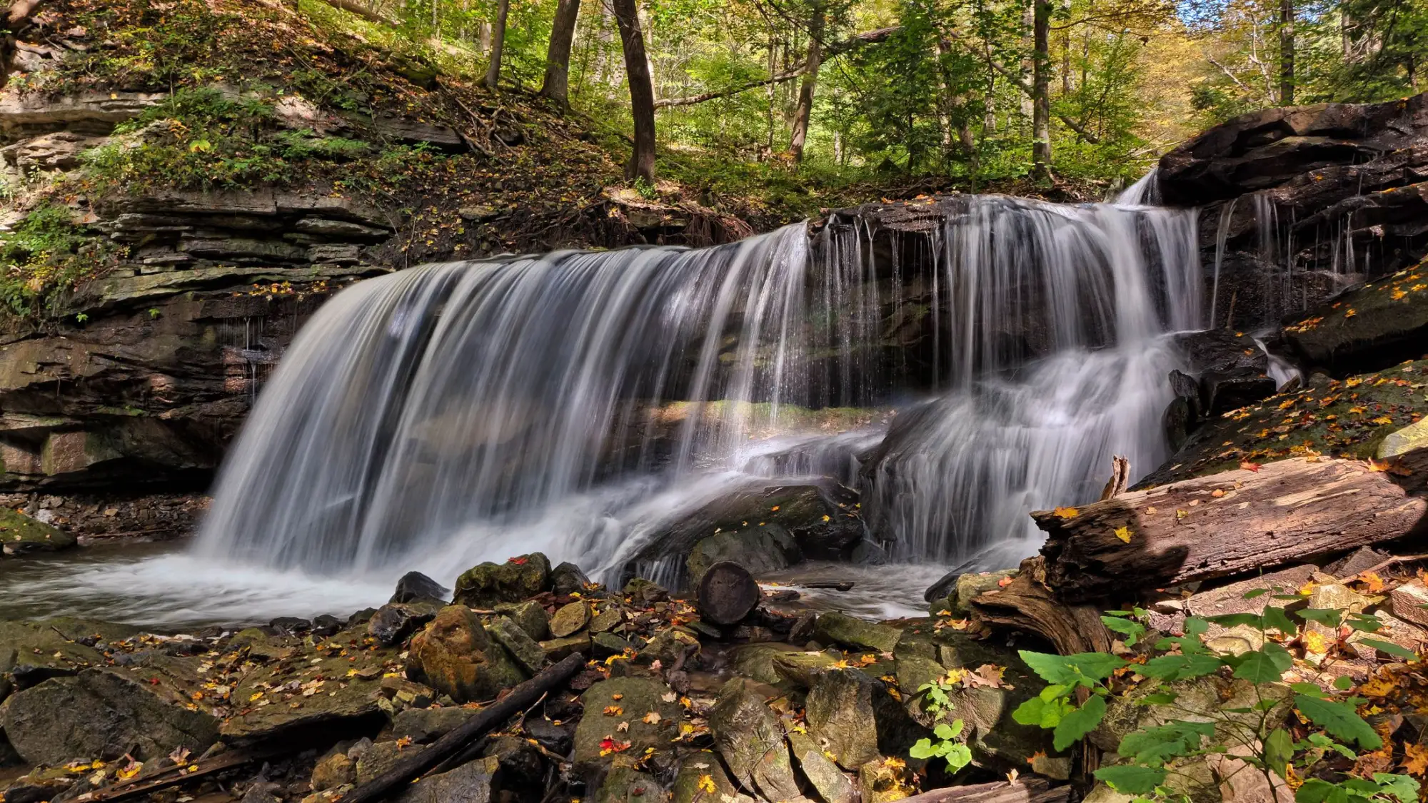 Waterfall in the Hamilton area in autumn